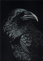 Blue Raven, Susan Morris